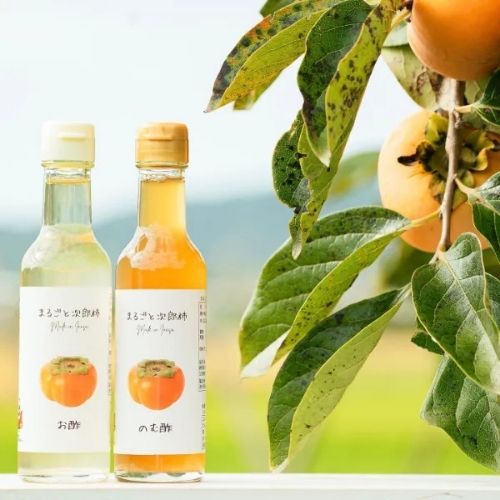 まるごと次郎柿 お酢 5本(いなさトレンド株式会社さん)のメインイメージ