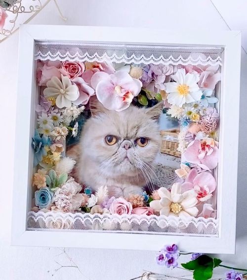 【うちの子フレーム・花ギフト】AR-509 / 21×21×D5㎝/木枠ガラスフレーム/写真・お名前・メッセージ(フルールちよさん)のメインイメージ