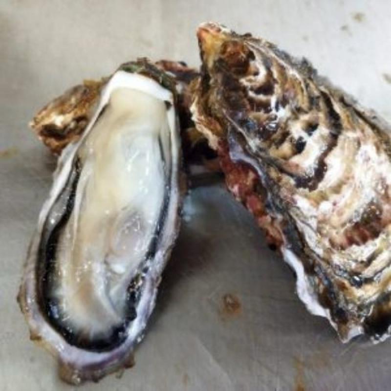 【バラ牡蠣】　生食用　１５ｋｇ（90～120個くらい）(株式会社イワムラ水産さん)のメインイメージ