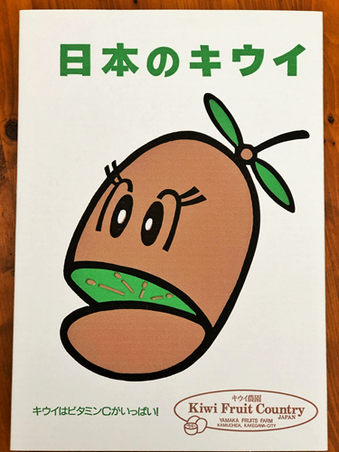 【キウイ５種!!】わくわく５種キウイセット！この道50年プロキウイ農家おすすめ季節限定5品種が入るお任せキウイセット：16個前後入り【熨斗対応可】L5(キウイフルーツカントリーJapanさん)のメインイメージ