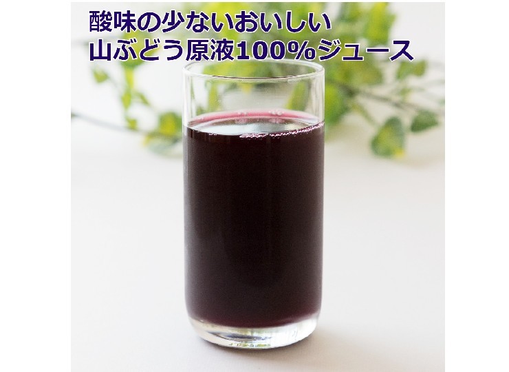 山ぶどう原液100%ジュース 500mlⅹ1本 糖度22度の極甘ジュース 山形産(sweetpool gardenさん)のメインイメージ