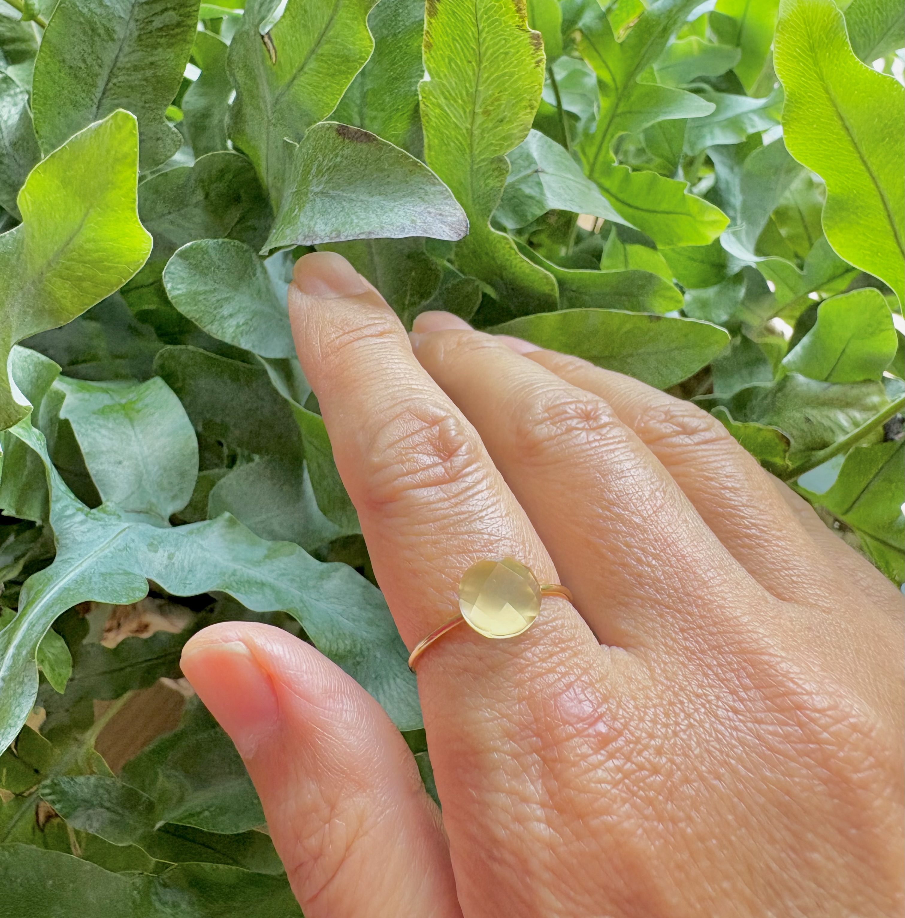 ムーンストーン【8mm 14kgf ring 13号】(nana＆jewelsさん)のメインイメージ