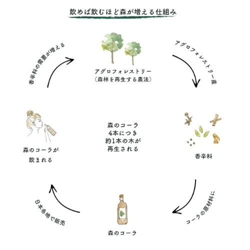 飲めば飲むほど森が増えるクラフトコーラ 「森のコーラ」 1本(elf ＜森のコーラ＞さん)のメインイメージ