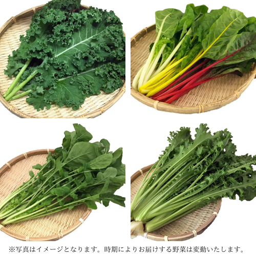 ご夫婦二人で食べきり量のサラダボウルが作れる詰め合わせセット (80サイズ )(農業生産法人　ビッグヤード株式会社さん)のメインイメージ