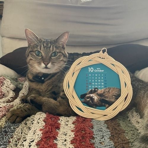 セミオーダーメイド ご注文月スタート ラタンフレーム うちの子 カレンダー(grinieさん)のメインイメージ