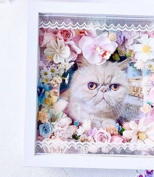 【うちの子フレーム・花ギフト】AR-509 / 21×21×D5㎝/木枠ガラスフレーム/写真・お名前・メッセージ(フルールちよさん)のメインイメージ