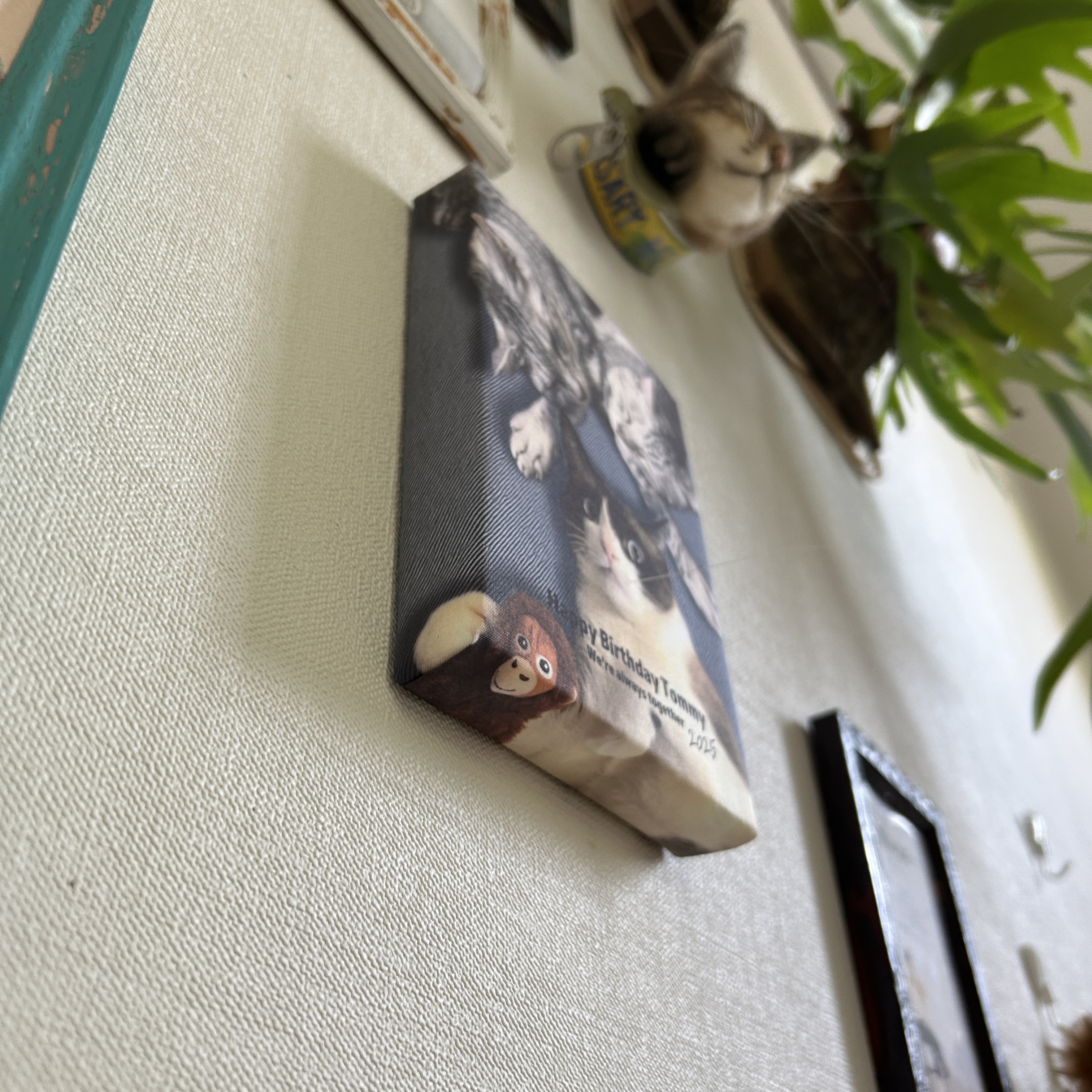 セミオーダーメイド  2〜4匹用「うちの子」猫ひげクッションパネル　(13*18*厚み2.5cm)(grinie ‐グリニィ‐さん)のメインイメージ