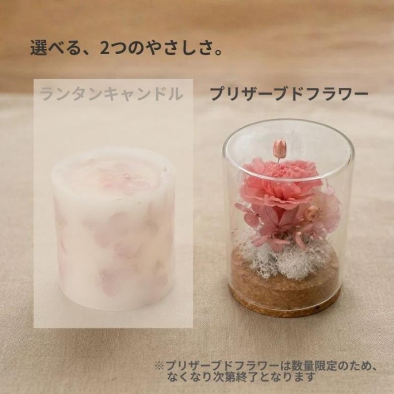 【送料込】母の日に喜ばれる｜北海道産ベジラスク＆選べる癒しギフトセット(赤・ブリザーブドフラワー)　母の日におすすめ☆(やさいのおやつ　ブルーブロッサムさん)のメインイメージ