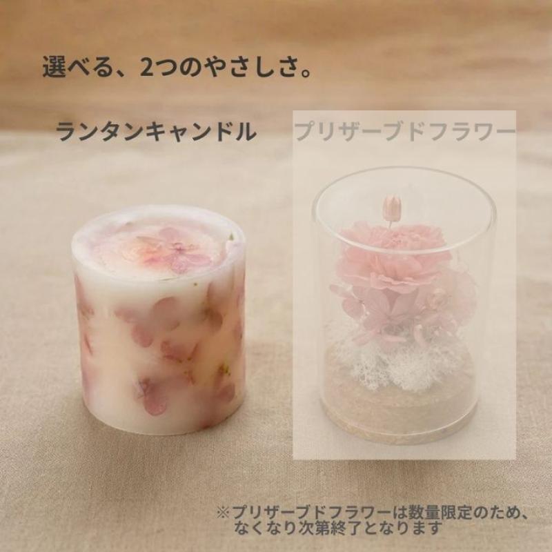 【送料込】母の日に喜ばれる｜北海道産ベジラスク＆選べる癒しギフトセット(赤・ランタンキャンドル)　母の日におすすめ☆(やさいのおやつ　ブルーブロッサムさん)のメインイメージ