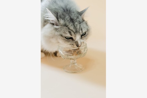 わんちゃん・ねこちゃん用【豊作和牛ブレンドふりかけ】(50g)(豊作和牛さん)のメインイメージ