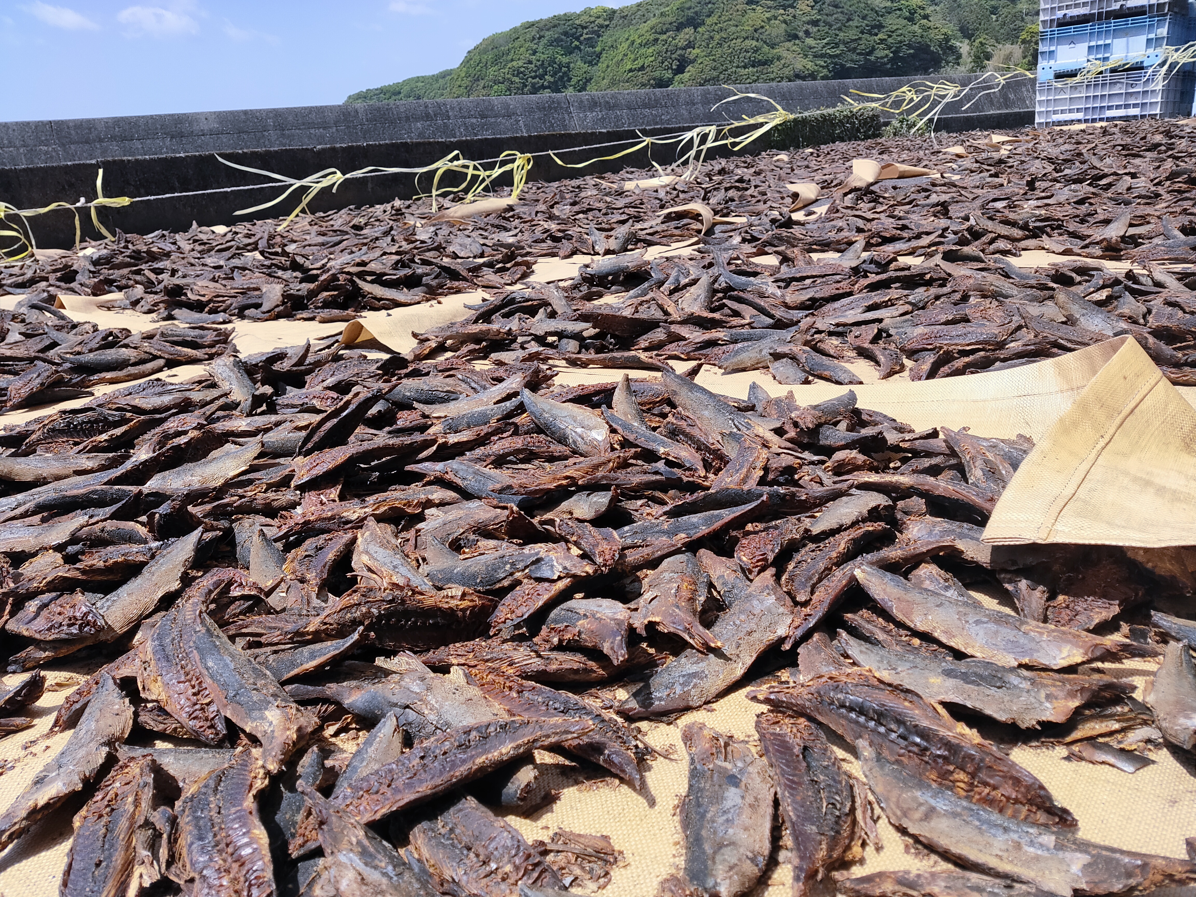 [1食]土佐カレー・宗田節と四万十鶏のダブル出汁＜無添加・グルテンフリー・砂糖不使用＞(KUMAちゃんカレー＆スイーツショップさん)のメインイメージ