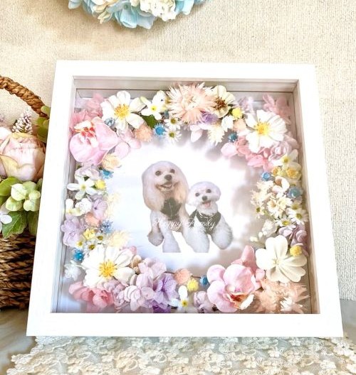 【うちの子フレーム・花ギフト】AR-508 / 21×21×D5㎝/木枠ガラスフレーム/写真・お名前・メッセージ入(フルールちよさん)のメインイメージ