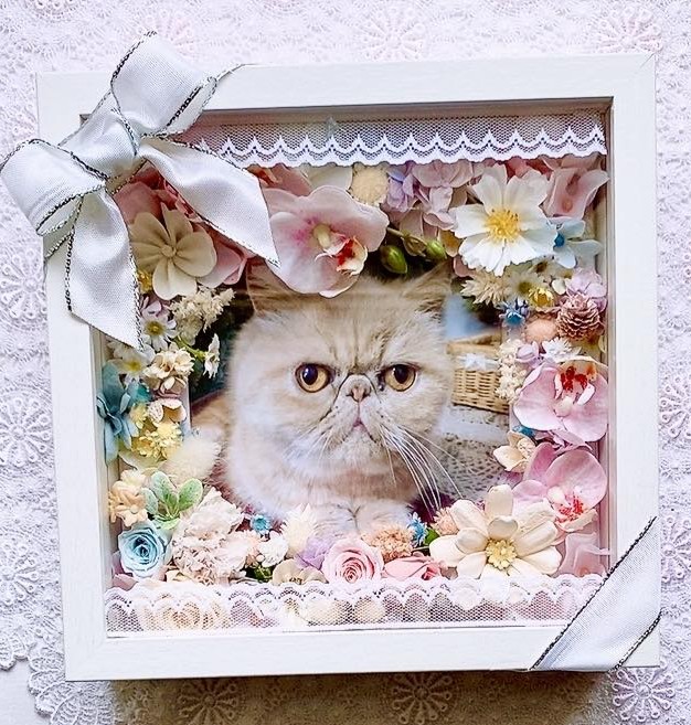 【うちの子フレーム・花ギフト】AR-509 / 21×21×D5㎝/木枠ガラスフレーム/写真・お名前・メッセージ(フルールちよさん)のメインイメージ