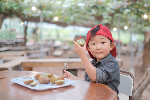 【人気No.１!!】”おまかせ5種キウイセット”この道50年！プロキウイ農家おすすめ季節限定5品種が入るお任せキウイセット【熨斗対応可】8～9個入り(キウイフルーツカントリーJapanさん)のメインイメージ