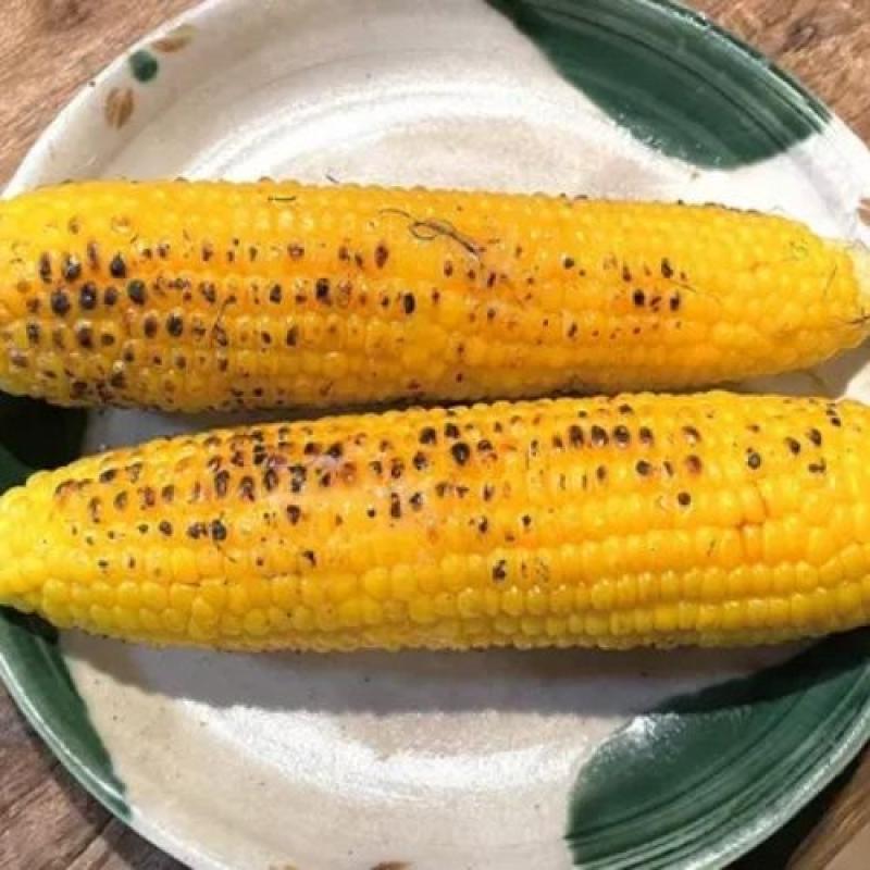 十勝産スイートコーン約10本★地球温暖化対策になる農法で栽培★化学農薬不使用・有機肥料のみ使用。(しろくまファームさん)のメインイメージ