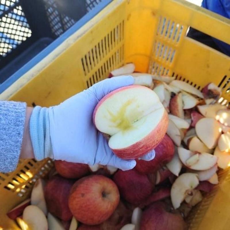 2025年サンふじ使用　無添加100%りんごジュース【6本入り】(まるもと農園さん)のメインイメージ