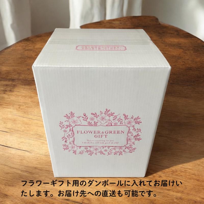 期間限定】カーネーションブーケ ルビーレッド L(100本) 母の日 ギフト