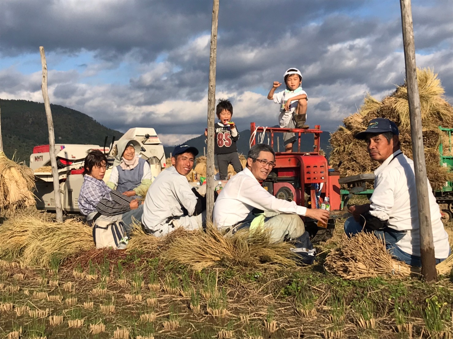 新米 特別栽培米 わら屋のお米 つや姫 5kg(おがわ藁農園さん)のメインイメージ