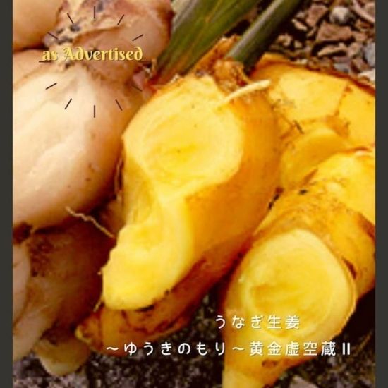 高知県産 うなぎ生姜　1瓶 80g(四万十味紀行さん)のメインイメージ