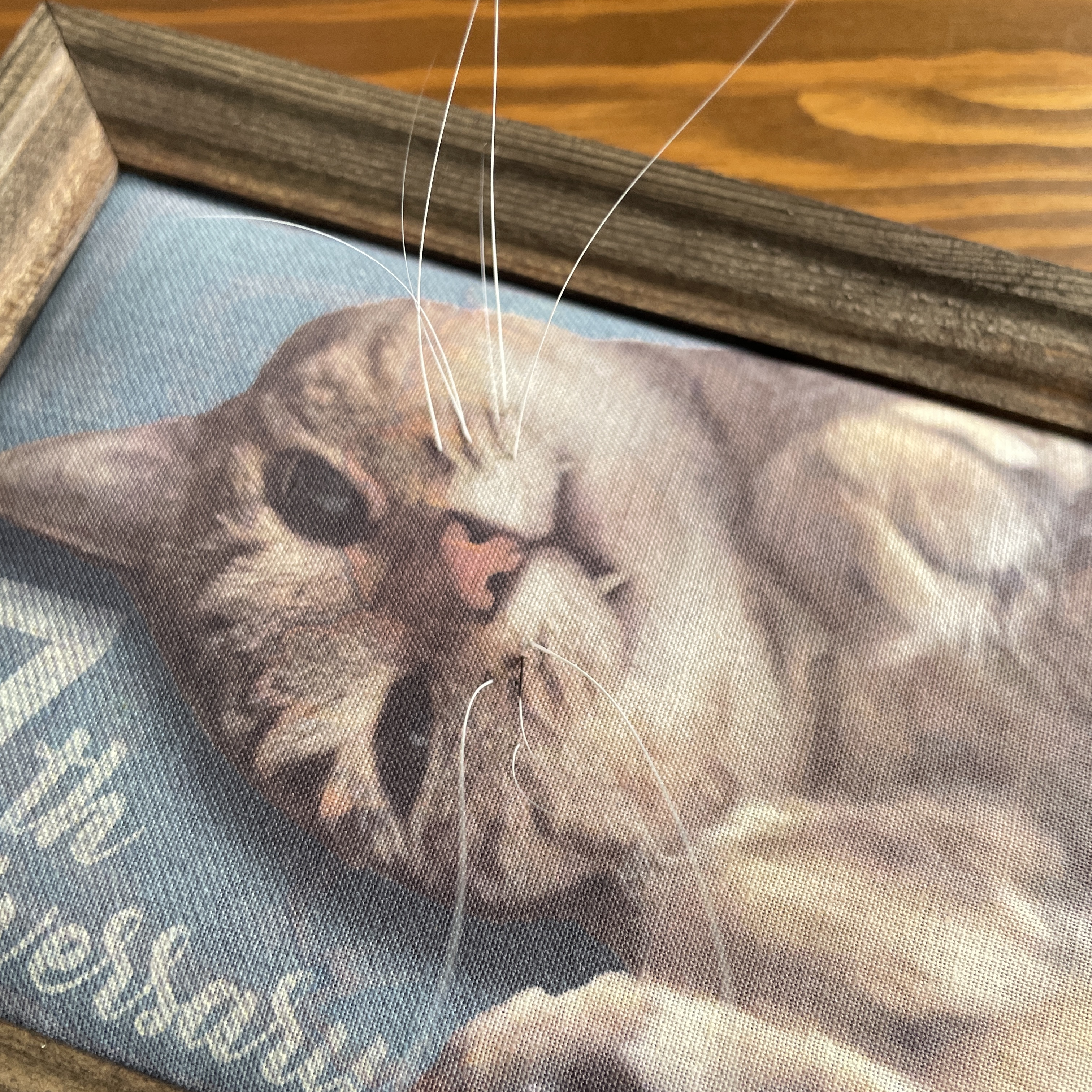 セミオーダーメイド  2匹用「うちの子」猫ひげクッションフレーム　(16*21cm)(grinie ‐グリニィ‐さん)のメインイメージ