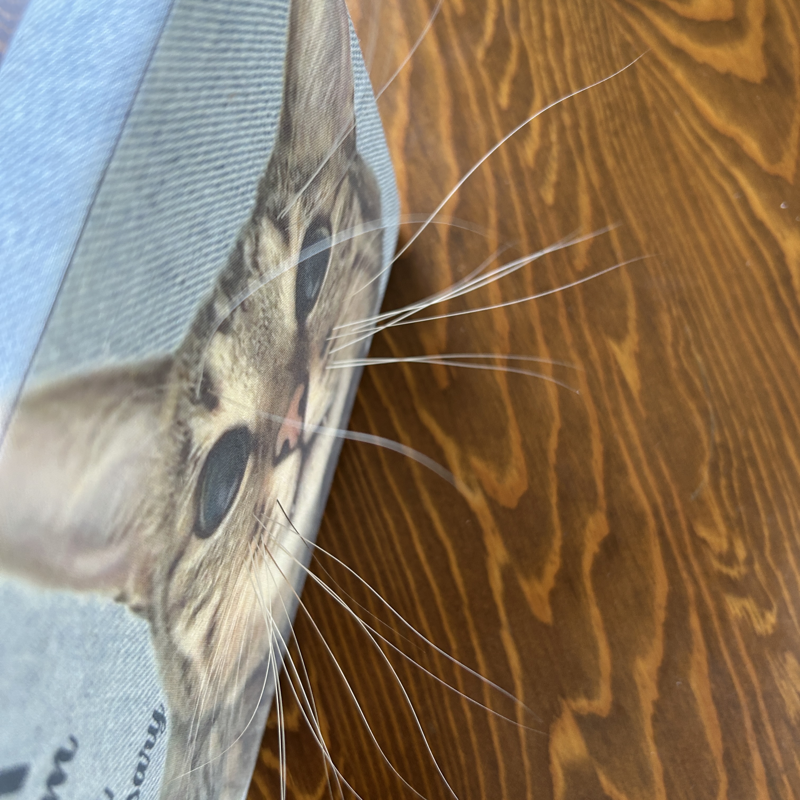 セミオーダーメイド  2〜4匹用「うちの子」猫ひげクッションパネル　(13*18*厚み2.5cm)(grinie ‐グリニィ‐さん)のメインイメージ