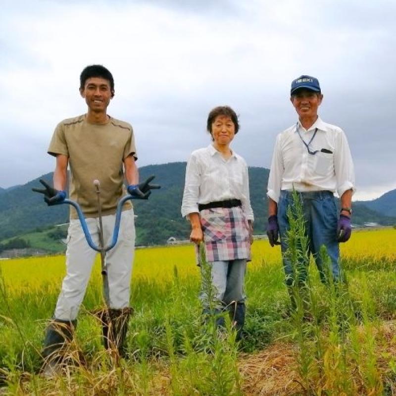 【2025年新米】 特別栽培米 わら屋のお米 ひとめぼれ 10kg(おがわ藁農園さん)のメインイメージ