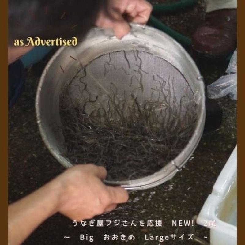 高知県産 うなぎ蒲焼 2尾(四万十味紀行さん)のメインイメージ