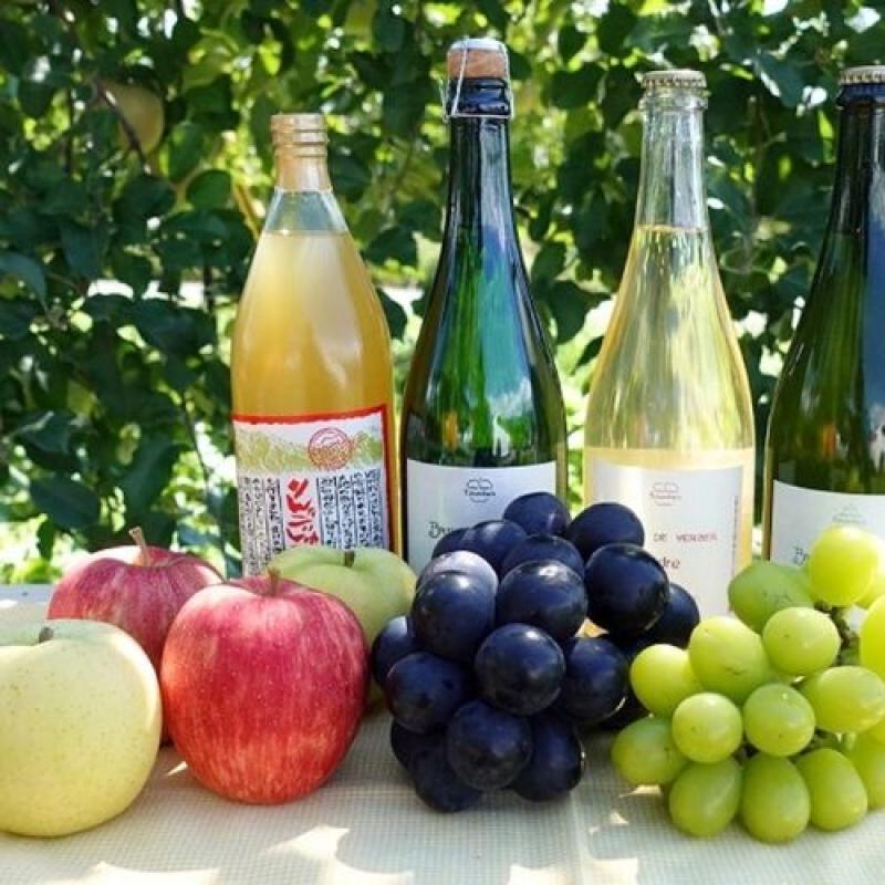 2025年サンふじ使用　無添加100%りんごジュース【6本入り】(まるもと農園さん)のメインイメージ