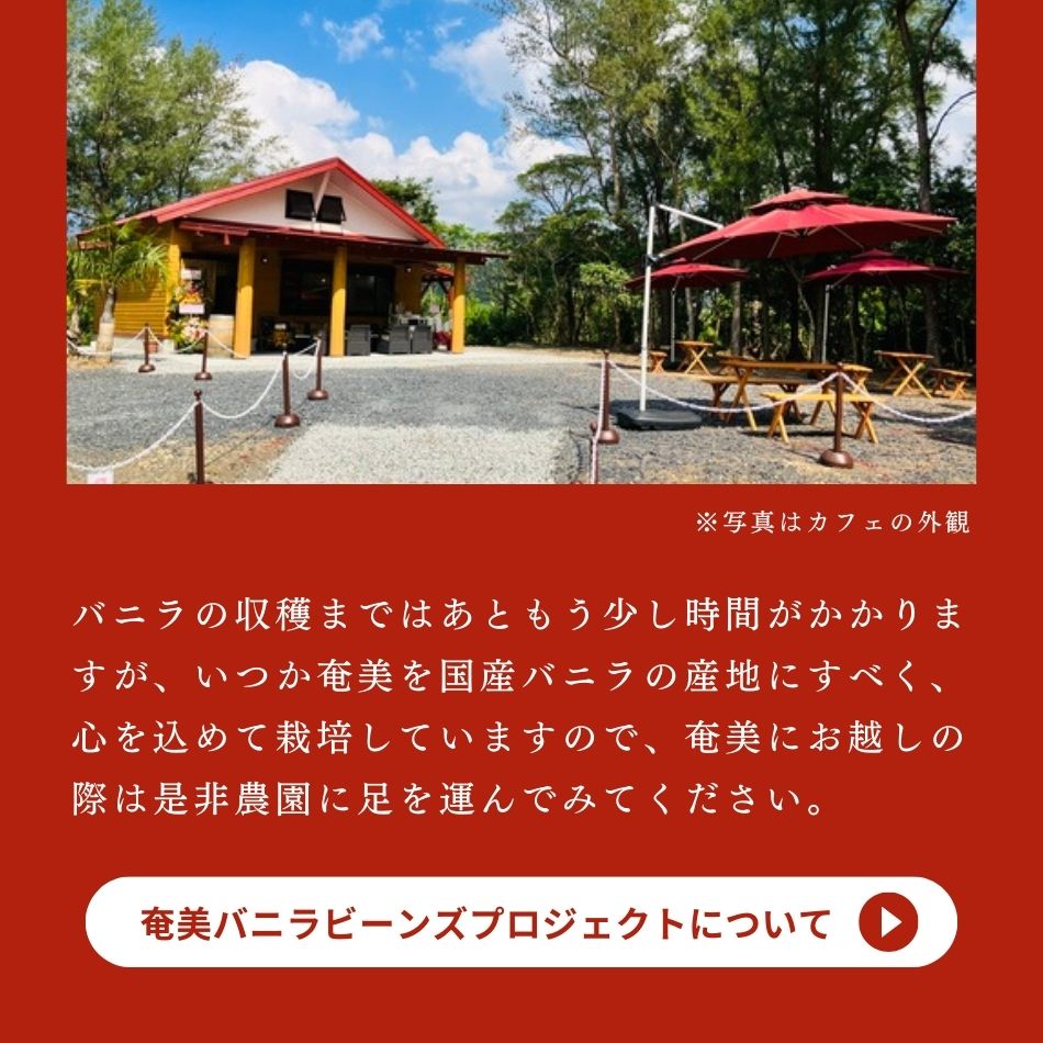 奄美バニラビーンズプロジェクトについてはこちら