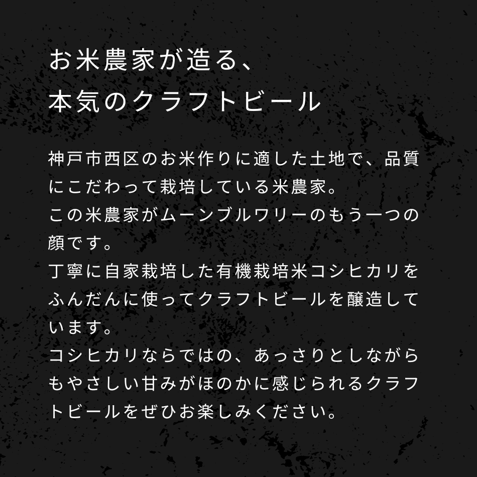 お米農家が造る、本気のクラフトビール。神戸市西区のお米作りに適した土地で、品質にこだわって栽培している米農家。この米農家がムーンブルワリーのもう一つの顔です。丁寧に自家栽培した有機栽培米コシヒカリをふんだんに使ってクラフトビールを醸造しています。コシヒカリならではの、あっさりとしながらもやさしい甘みがほのかに感じられるクラフトビールをぜひお楽しみください。