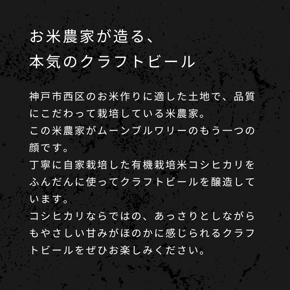 お米農家が造る、 本気のクラフトビール 神戸市西区のお米作りに適した土地で、品質にこだわって栽培している米農家。 この米農家がムーンブルワリーのもう一つの顔です。 丁寧に自家栽培した有機栽培米コシヒカリをふんだんに使ってクラフトビールを醸造しています。 コシヒカリならではの、あっさりとしながらもやさしい甘みがほのかに感じられるクラフトビールをぜひお楽しみください。
