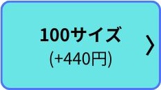 100サイズ(+440円)